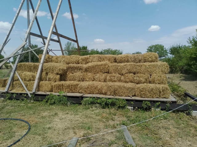 Pile of Straw for Animal bedding at Solace for Strays